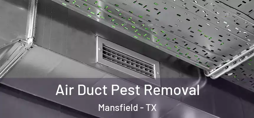  Air Duct Pest Removal Mansfield - TX