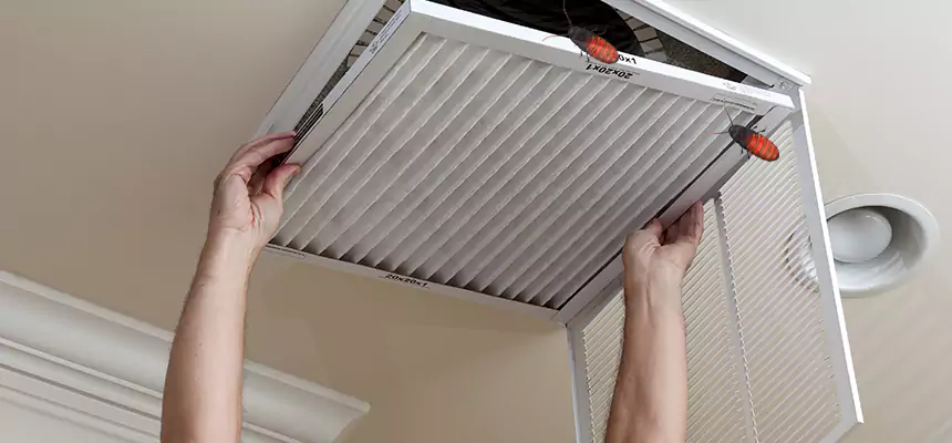 Preventive Cockroach-Proofing for Ducts in Mansfield