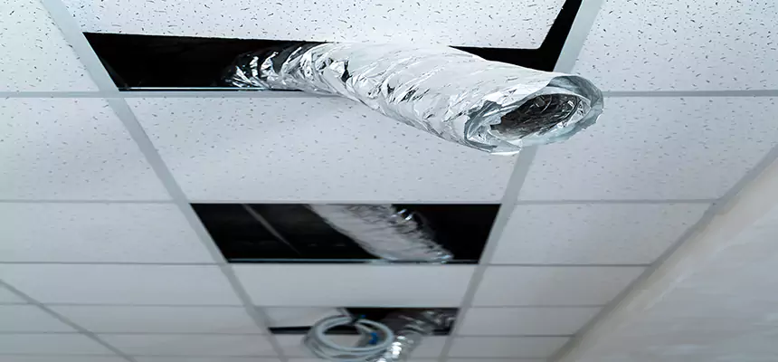 Our Air Duct Pet Hair Removal Services in Mansfield, TX