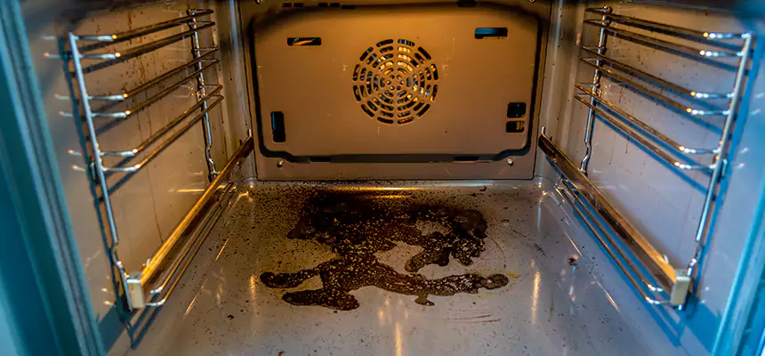 Our Dryer Vent Mold Cleaning Services in Mansfield, TX