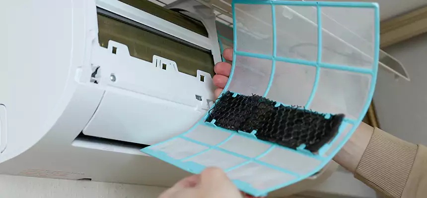 Gentle Ductwork Odor-Control Pet Dander Duct Cleaning in Mansfield, TX