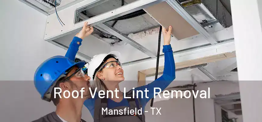 Roof Vent Lint Removal Mansfield - TX