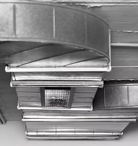 Professional Air Duct Pet Hair Removal in Mansfield, TX