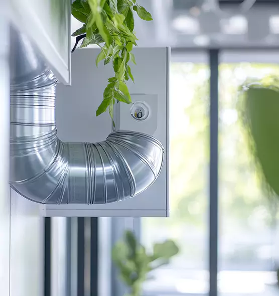 Professional Eco-Safe Dryer Vent Cleaning in Mansfield, TX