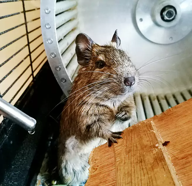 Why Homeowners & Businesses Trust Us Mansfield, TX